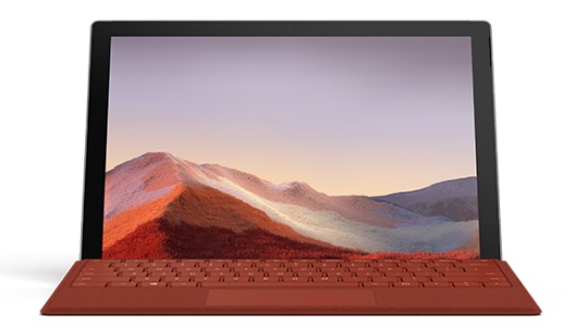 红坪镇清洁和维护 Surface